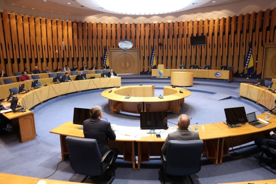 Povjerenstvo za vanjske poslove Zastupničkog doma PSBiH obavilo javno saslušanje ministra vanjskih poslova BiH